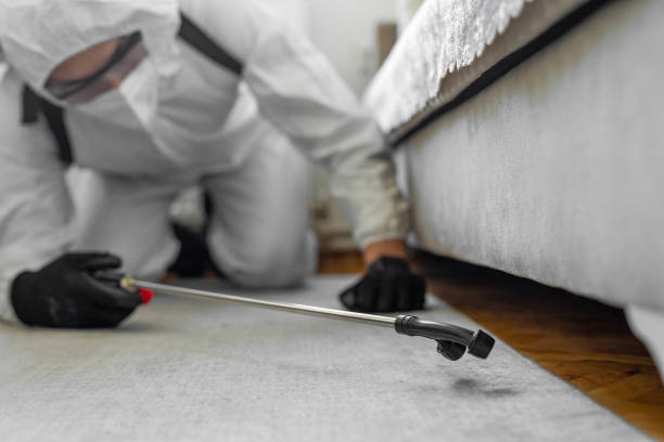 Professional Ant Control technician working in Hoyt Lakes, MN